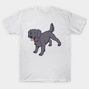 Flat-Coated Retriever (Doggust 2022) T-Shirt